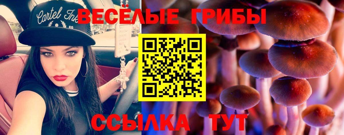 Псилоцибиновые грибы прущие грибы  Вход с VPN  Псилоцибиновые грибы GOLDEN TEACHER  Когалым 